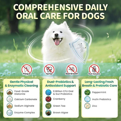 Dog Dental Powder – Teeth Cleaning Powder with 6B CFU Probiotics, Enzymes & Antioxidants, Plaque & Tartar Off, Fresh Breath Support, 75 Days, Mint Chicken Flavor, No Brushing Oral Care