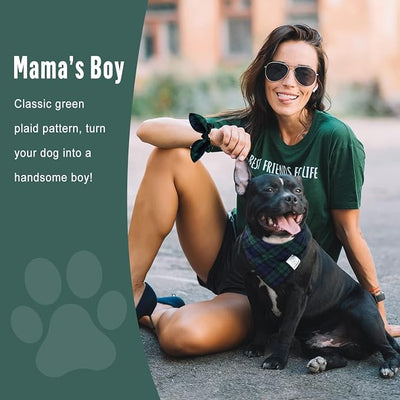 E-Clover Green Dog Bandanas Boy & Matching Scrunchie Set Plaid Dog Scarf Kerchief for Medium Large Dog Pet Bandana Owner Gifts Blue St Patrick Spring