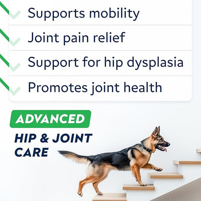 Advanced Glucosamine Chondroitin Joint Supplement for Dogs - Hip & Joint Pain Relief Pills - Green Lipped Mussel & Collagen - Large & Small Breed - Senior Dogs Joint Health - Bacon Flavor - 180ct