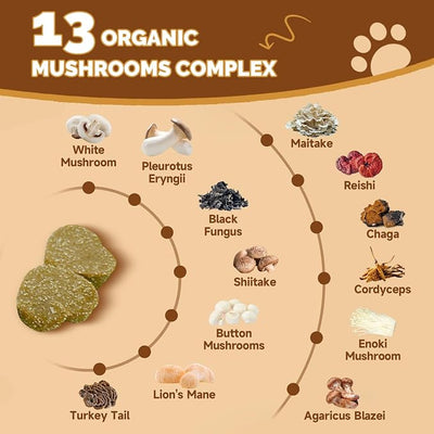Mushrooms for Dogs - Turkey Tail Mushroom for Dogs - Gut, Skin, Joint, Immune Health- Dog Lumps & Bumps - 13 Organic Mushrooms Turkey Tail, Reishi, Lions Mane, Glucosamine, MSM - Chicken Flavor