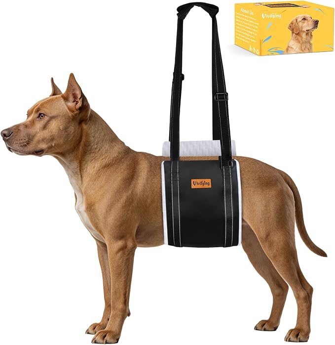Vivifying Dog Lift Harness for Medium Dogs, Soft Bird's-Eye Cloth Hind Leg Support Sling, Adjustable Dog Lifting Harness for Weak Rear Legs, ACL Surgery Mobility Assist, M, White