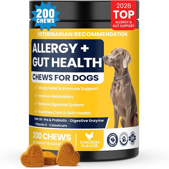 Dog Allergy Chews 200ct, Itch Relief for Dogs Anti Itch Aller Supplements Immune Chews Dog Allergies Gut Health Probiotics for Paws Itching and Licking Relief Bites for Dogs with Quercetin, Colostrum