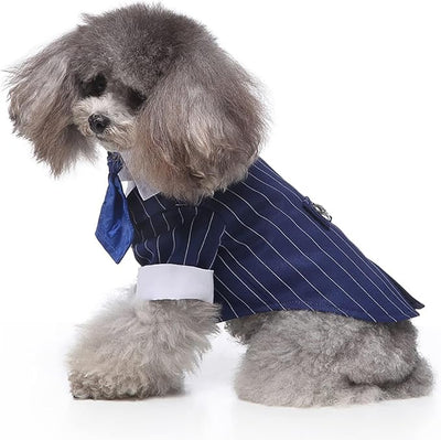 QBLEEV Dog Tuxedo Suit with Bow Tie, Formal Black & White Striped Dog Costume Outfit, Doggy Tux Prince Dress for Wedding Party Birthday Holiday, Elegant Dogs Attire for Maltese Dachshund Corgi Beagle