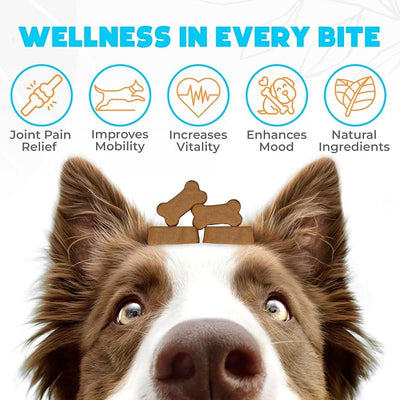 Glucosamine HCL & Hip and Joint Supplement for Dogs - 150 pcs - Hip and Joint Chews for Dogs - Vet Approved US Formula with MSM & Green Lipped Mussel - Duck