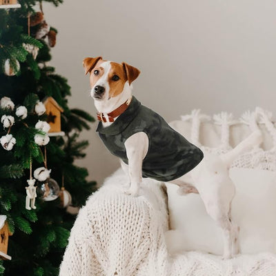 4 Pieces Winter Fabric Dog Sweater with Leash Ring Soft Fleece Vest Dog Clothes Plaid Camouflage Warm Puppy Jacket Pullover Clothes for Small Cat Puppy Chihuahua(XL)