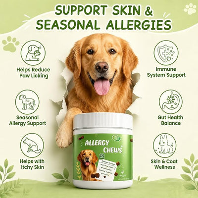 Dog Allergy Chews - Itch Relief for Dogs Immune Support with Colostrum Probiotics - Seasonal Allergies Anti-Itch Skin & Coat Supplement, Itchy Skin & Paw Relief Bites- Chicken Flavor