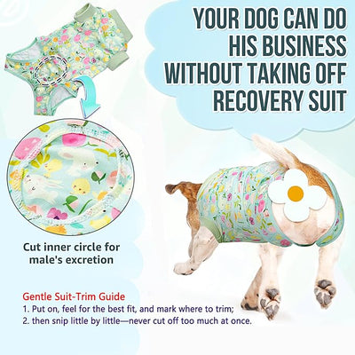 Lukovee Recovery Suit for Dogs, Zipper On Dog Surgery Suit for Female Male Dog, Onesies Bodysuit Prevent Licking Spay Abdominal Wounds Bandages E-Collar Alternative (Green, XL)