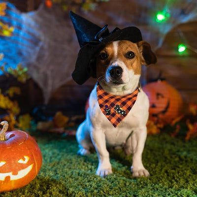 Dog Bandana with Orange & Black Plaid Soft Breathable Cotton Blend,Boo & Witch Cat Embroidery Patches,Medium