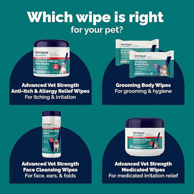 Vetnique Dermabliss Chlorhexidine for Dogs & Cats Wipes - Ketoconazole Medicated Antibacterial & Antifungal Skin Wipes for Hot Spots, Yeast Infection, Yeasty Paws, Itch & Smelly Folds, 50 Count Small
