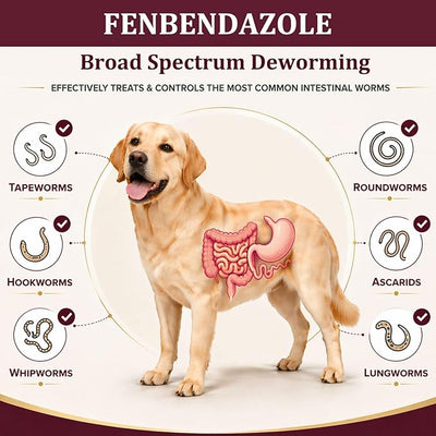 Fenbendazole Dewormer for Dogs & Puppies, Oral Treatment for Tapeworms, Roundworms, Hookworms and Whipworms, 24 Count