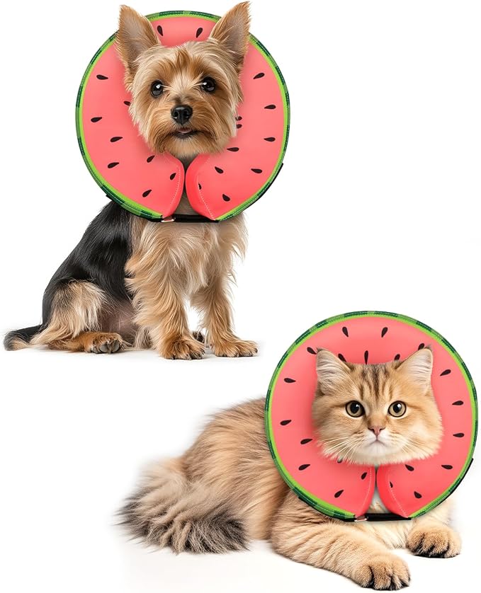 MIDOG Inflatable Dog Cone Collar–Soft Dog Cone Alternative After Surgery,Comfortable Recovery Neck Donut ECollar for Small Medium & Large Dogs and Cats to Stop Licking&Vision-Friendly (Watermelon,XS)
