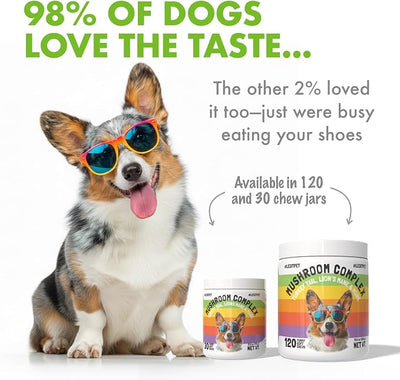 Mushroom Complex Treats for Dogs with Reishi, Shiitake, and Turkey Tail Mushrooms for Cognition and Immune Boosting Supports Digestive Health and Reduces Inflammation DHA EPA Turmeric Kelp (120pcs)