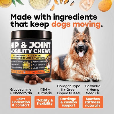 Advanced Hip & Joint Support for Dogs – Move, Run & Play Again | Glucosamine, Collagen, Chondroitin, MSM & Turmeric for Senior & Large-Breed Mobility – Made in USA