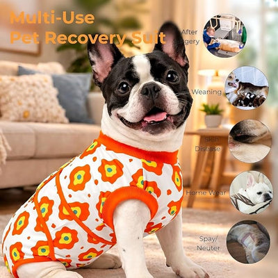 Soft Recovery Suit for Female/Male Dog Cat After Spay/Neuter Surgery, Bandana Set Included, E-Collar Cone Alternative Anti Licking Abdominal Wounds, Small Dogs Full Body Onesie, Pet Onesies Bodysuit