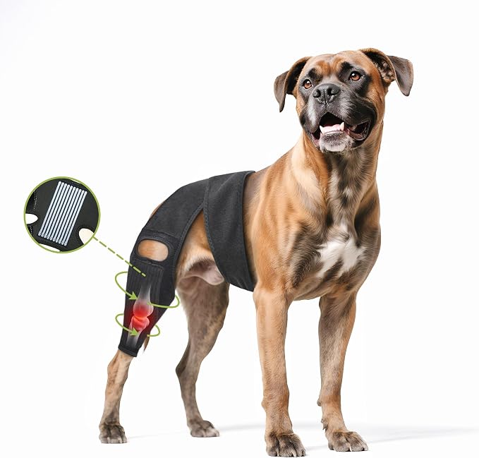Dog Hip Brace, Knee & Leg Support Brace for ACL Recovery, Ligament Injury - Breathable & Adjustable Dog Leg Brace for Senior Dogs, Post-Surgery Rehabilitation & Mobility Aid(Size M)