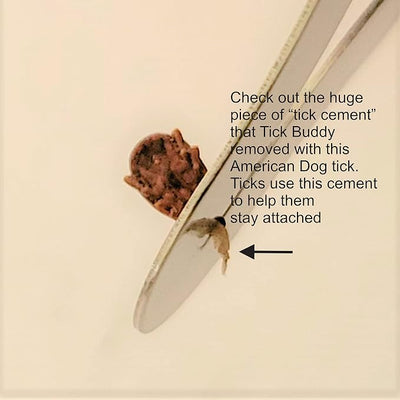 Tick Buddy (Three Pack) Stainless Steel Tick Removal Tool for Dogs Cats Pets and People