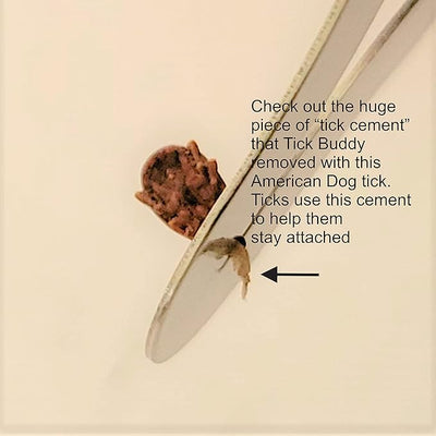 Tick Buddy (1-Pack) Stainless Steel Tick Removal Tool for Dogs Cats Pets and People | pet-tick-removers