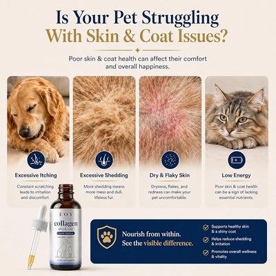 Liquid Collagen for Dogs & Cats, Joint Support, Skin & Coat Supplement, Grass-Fed Collagen with Biotin, Vitamin C & Hyaluronic Acid, Itchy Skin Support, 4 Fl Oz