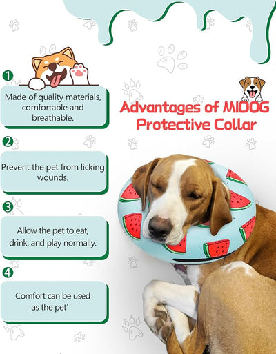 MIDOG Inflatable Dog Cone Alternative for After Surgery - Soft Protective Donut Collar Prevents Licking, Comfortable Recovery E-Collar Alternative for Small Medium Large Dogs (Watermelon,S)
