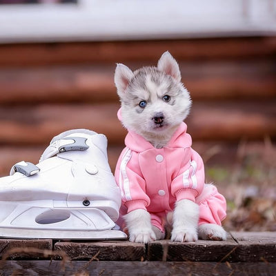 Dog Hoodie Security Clothes 4 Legs Jumpsuit Sweatshirt Hoodies Soft & Warm Dog Outfit Pullover Dog Winter Clothes Sweater for Small Medium Large Dogs Cats (Pink, XX-Small)