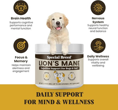 Organic Lion’s Mane for Dogs & Cats - Cognitive & Brain Support Supplement - Supports Memory, Focus & Nervous System Health - Mushroom Powder - 200 Servings