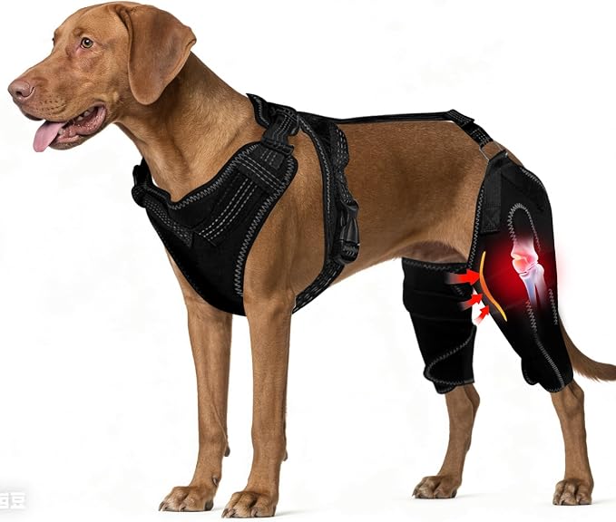 Dog Knee Braces for Back Leg, Adjustable Dog Leg Braces for Torn ACL Hind Leg with Metal Stabilizers, Better Recovery Knee Brace for Rear Leg Cruciate Ligament Injuries & Hip Dysplasia, L