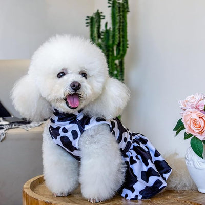 CuteBone Turtleneck Dog Velvet Dress Puppy Skirt Costume Pet Clothes Cat Apparel with Bow Hair Rope for Small Dogs CVD07M