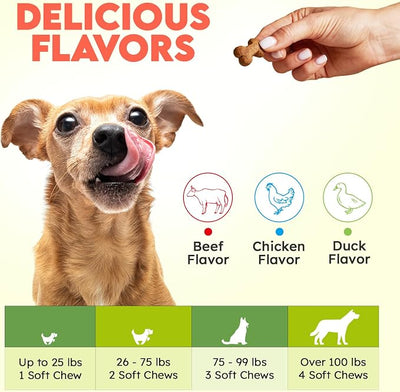 Collagen for Dogs - 150 Chews - Joint, Skin & Coat Supplement with Hyaluronic Acid, Eggshell Membrane & Vitamin C - Daily Hip & Joint Support for Senior Dogs & Puppies - Beef