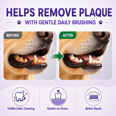 Dog Toothbrush, Dual-Head, for Medium-Large Dogs,Green | Soft Bristles for Gentle Cleaning, 60° Curved Bristles for Better Coverage, Comfortable for Sensitive Gums