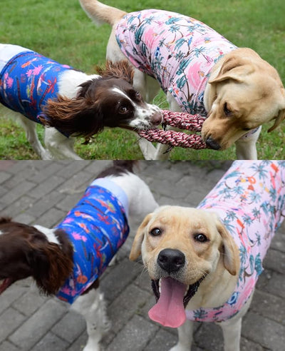 Dog Cooling Shirts, Extra Small Dog Shirts, Dog Clothes for Boy Girl Dogs, Dogs Cooling T-Shirts for Yorkie, Chihuahua, Dog Summer Shirts Hawaiian, XS, 2 Pcs