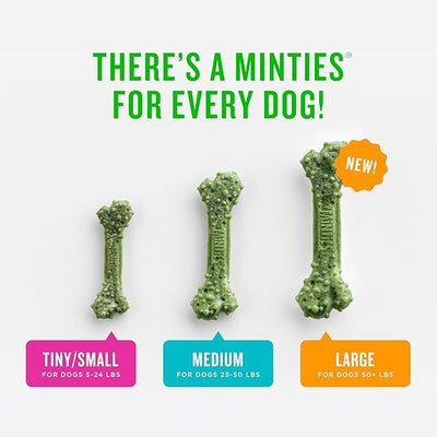 Minties Large Dog Dental Bone Treats, 24 Count FreshBites Soft and Chewy Dental Treats for Dogs, 50 Count