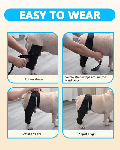 Dog Rear Leg Sleeve to Prevent Licking - Reusable Dog Surgery Recovery Suit with Adjustable Velcro, Breathable Comfortable Recovery Sleeve for Hot Spots & Wounds, Cone Alternative (L Size)