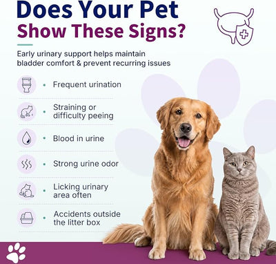 Natural UTI Treatment for Cats & Dogs – Antibiotic-Free Urinary Tract Infection Support Supplement – Bladder & Kidney Health – Incontinence Prevention – 30 Capsules