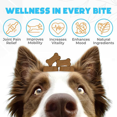 ZENO Glucosamine HCL & Hip and Joint Chews for Dogs - 150 pcs - Advanced Hip and Joint Support for Senior Dogs - with MSM & Green Lipped Mussel - Duck