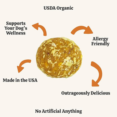 Lord Jameson: Golden Health 6 oz - Dog Wellness Treats, Organic Soft & Chewy No-Bake Bites, Anti-Inflammatory, Oats, PB & Coconut, Preservative Free