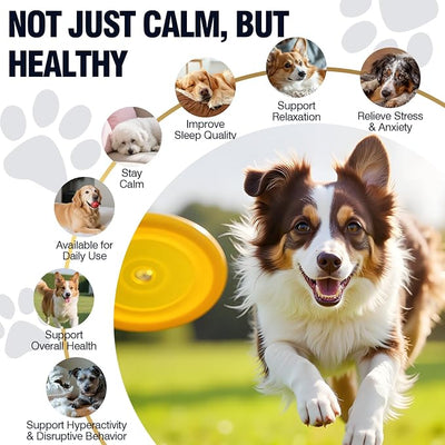 Dog Calming Chews 200ct, for Small/Medium/Large Dogs
