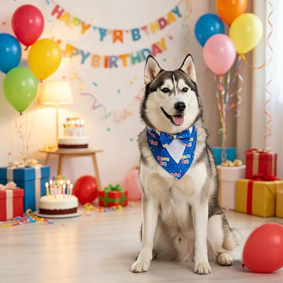ADOGGYGO Birthday Boy Dog Tuxedo Bandana, Blue Collar with Bow Tie, Adjustable Formal Birthday Costume for Extra Large Dogs (XL)