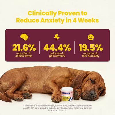 Calming Chews for Dogs – KSM-66 Ashwagandha, L-Theanine & Melatonin – Supports Relaxation & Calm Behavior – Great for Storms, Fireworks, Travel & Vet Visits – Turkey & Beef Flavor