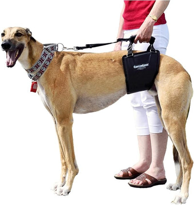 GINGERLEAD Dog Sling Hip Lift Harness, Tall Male fits Tall, Lean Dogs Like Greyhounds or Great Danes. Padded Support Aid to Help Pets Up or Down Stairs, in or Out of Vehicles. Made in U.S.A.