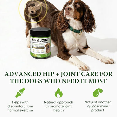 Hip and Joint Supplement for Dogs,Joint Support Supplement,with Glucosamine, Chondroitin, MSM, Promoting Joint Health and Mobility,Plasma Powered Chews for Joint Health,For All Breeds and Sizes 200pcs