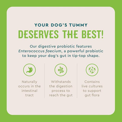 VetIQ Digestive Probiotic Powder for Dogs 30-Count Single-Serve Packets with Enterococcus Faecium Live Probiotics Chicken Liver Flavor Supports Gut Health and Diarrhea Relief