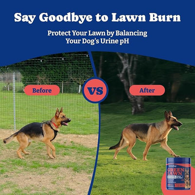 Dog Urine Neutralizer for Lawn - 180 Chews Grass Savers for Dog Urine, Green Grass Dogs Chews with DL-Methionine, Dogs Pee Grass Neutralizer for All Breeds Ages (180ct Green Lawn)