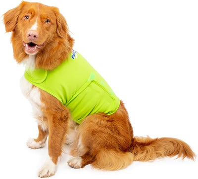Dog Anxiety Calming Wrap, Medium, Lime