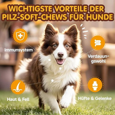 Mushroom Chews for Dogs, Turkey Tail Mushroom for Dogs, Immune Health, Digestive, Skin, Energy, Joint Support, 13 Organic Mushroom Complex with Shiitake, Maitake, Reishi, Lion's Mane, 140 Chews