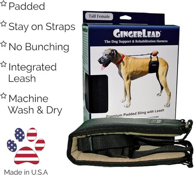 GINGERLEAD Dog Sling Hip Support Harness, Tall Female fits Tall, Lean Female Dogs Like Greyhounds or Great Danes. Padded Lifting Aid to Help Pets Up or Down Steps, in or Out of Vehicles. Made in USA