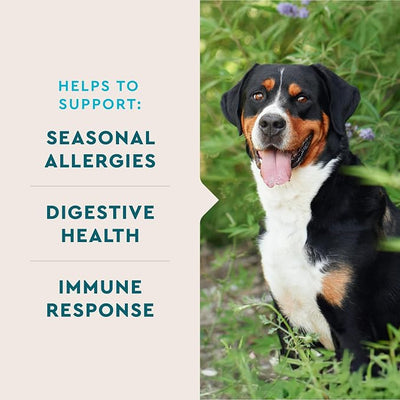 VetIQ Allergy Pro+ Soft Chews for Dogs, Dog Allergy Chews, Seasonal Support, Colostrum, Astragalus Root, Sporevia, Hickory Smoke Flavor, 90 Count
