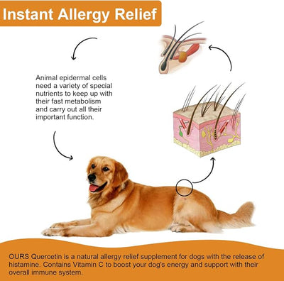 Quercetin for Dogs, Dog Quercetin Liquid Drops, Dog Quercetin Herbal Supplement Support Allergy Relief,Cellular Health, Immune Boost, Antioxidant -60 ml