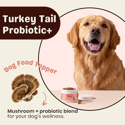 Turkey Tail Mushroom for Dogs – Turkey Tail Mushroom Powder with Probiotics for Immune and Digestive Support, Supports Lumps and Bumps, Bacon Flavored Daily Dog Supplement