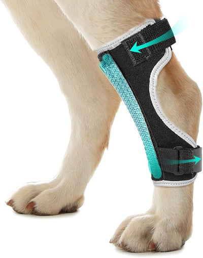Dog Leg Braces for Back & Front Legs- Dog Hock & Ankle Joint Brace for Weak Back Legs with 2 Metal Strips, Reflective Trim for Sprain, Injury, Arthritis, Wound Recovery,Black,L