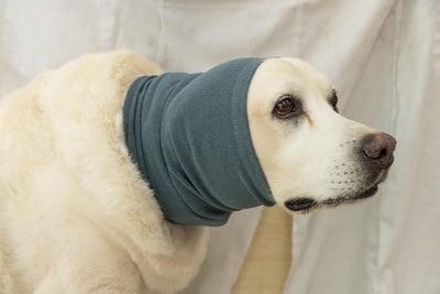 Dog Ear Wraps, Dog Ear Cover Hematoma Anxiety Relief – Noise Canceling for Fireworks, Thunderstorms, Pet Grooming & Force Drying(Green M)